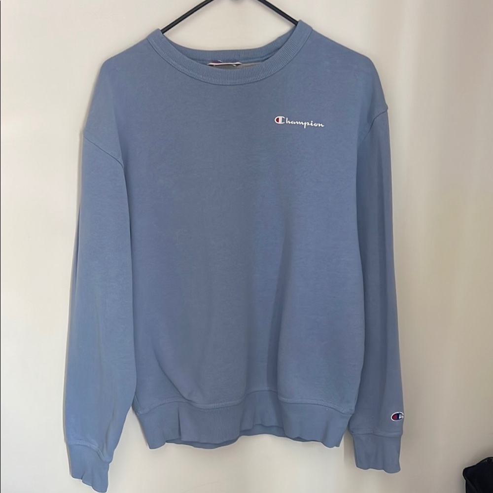 Champion Men's Blue Sweater